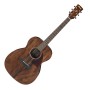IBANEZ PC12MH